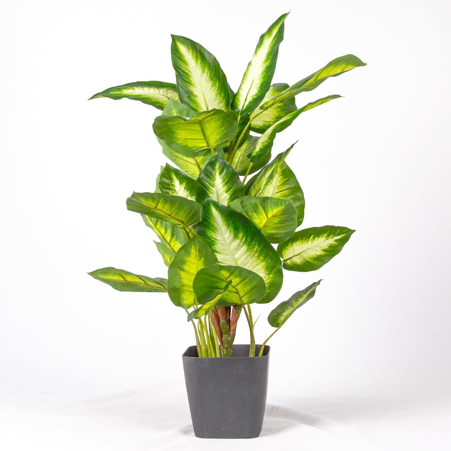 Yapay Bitki Rohdea Japonica Gerçek Dokulu 32 Yaprak Yeşil-Beyaz 70 Cm.