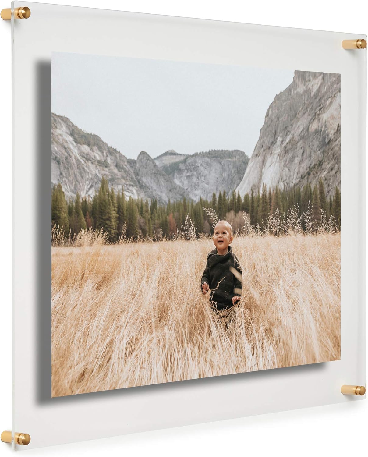 Modern Frames COOLMODERNFRAMES 40,6 x 50,8 cm Şeffaf Yüzer Çift Panel Akrilik Resim Çerçevesi, Sanat ve Fotoğrafları Dönüştürmek ve Sunmak için Altın Donanım